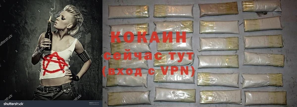 герыч Мегион