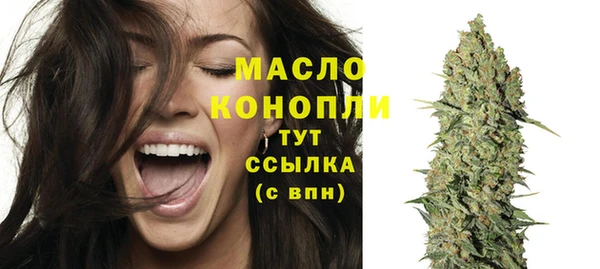 герыч Мегион