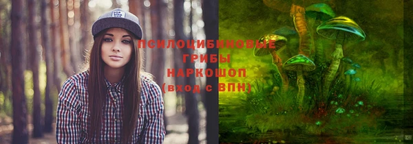 дмт Михайловск